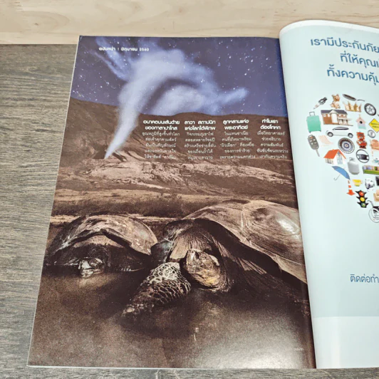 National Geographic ฉบับที่ 190 พ.ค.2560 อเคนาเตน ฟาโรห์ผู้พลิกฟ้าคว่าดิน รูปที่ 9