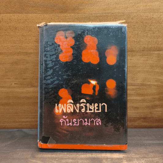 เพลิงริษยา เล่ม 2 - กันยามาส รูปที่ 1