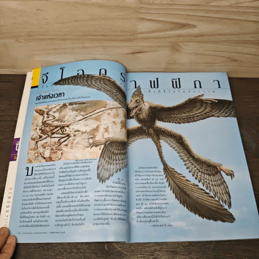National Geographic พ.ค.2546 50 ปีหลังการพิชิตเอเวอเรสต์ รูปที่ 9