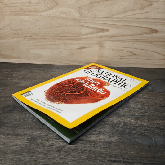 National Geographic ฉบับที่ 67 ก.พ. 2550 รักษาหัวใจไม่ให้เจ็บ รูปที่ 4