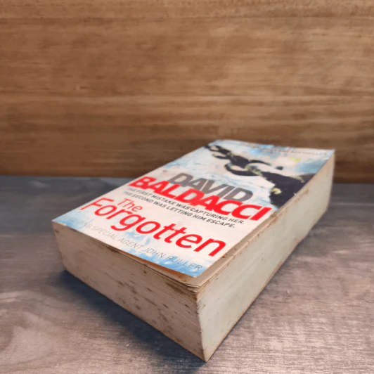 The Forgotten - David Baldacci รูปที่ 3