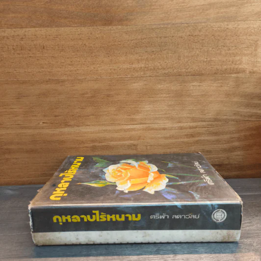 กุหลาบไร้หนาม - ศรีฟ้า ลดาวัลย์ รูปที่ 2