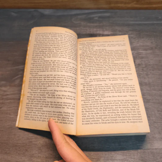 The Druid of Shannara - Terry Brooks รูปที่ 6