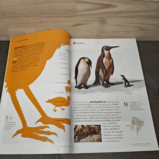 National Geographic ฉบับที่ 118 พ.ค.2554 รูปที่ 9