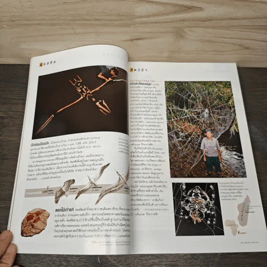 National Geographic ฉบับที่ 117 เม.ย. 2554 ภูเขาไฟนีอีรากองโก รูปที่ 9