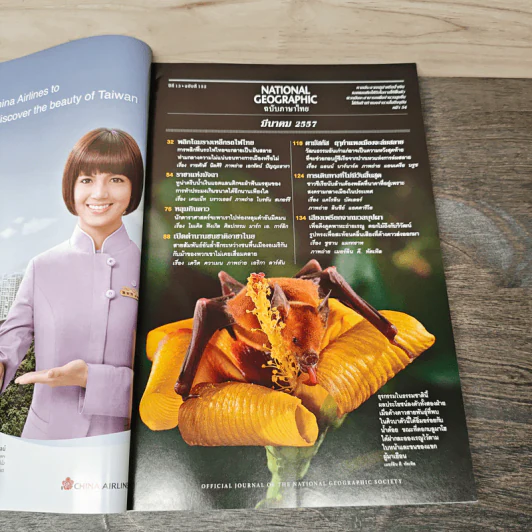 National Geographic ฉบับที่ 152 มี.ค.2547 รูปที่ 7