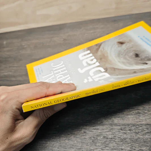 National Geographic ก.พ.2547 หมีขาว พยัคฆ์ร้ายแห่งแดนขั้วโลก รูปที่ 3