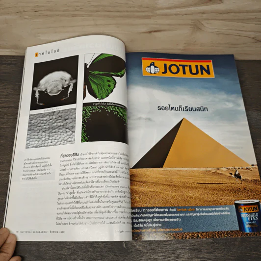National Geographic ฉบับที่ 73 ส.ค. 2550 รูปที่ 9