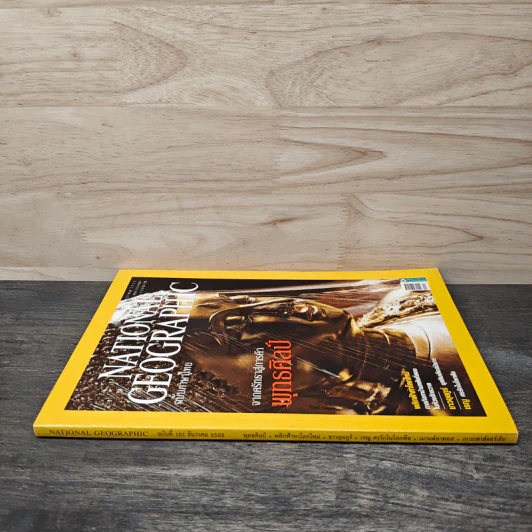 National Geographic ฉบับที่ 101 ธ.ค.2552 จากศรัทธาสู่การค้าพุทธศิลป์ รูปที่ 2