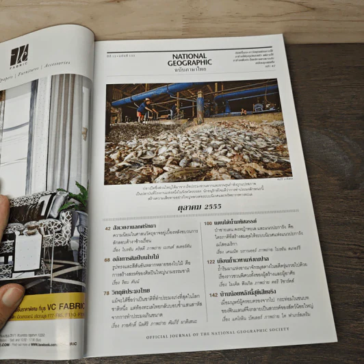 National Geographic ฉบับที่ 135 ต.ค.2555 งาเลือด สังเวยชีวิตช้าง รูปที่ 7