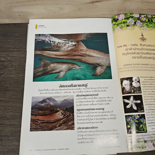 NATIONAL GEOGRAPHIC  ฉบับที่ 165 เม.ย.2558 รูปที่ 10