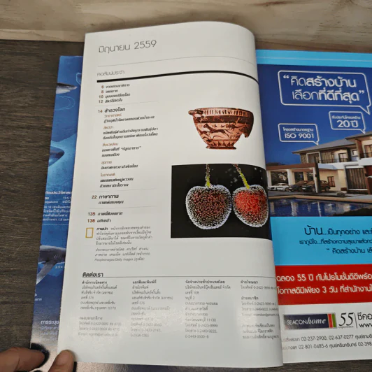 National Geographic ฉบับที่ 179 มิ.ย.2559 โจรปล้นสมบัติ รูปที่ 8