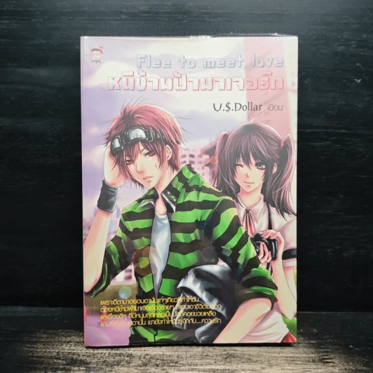 Flee to meet love หนีข้ามฟ้ามาเจอรัก - U.S.Dollar รูปที่ 1