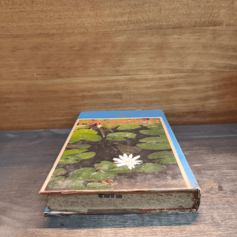 หนองบัวแดง เล่ม 1 - ปณิดา รูปที่ 4