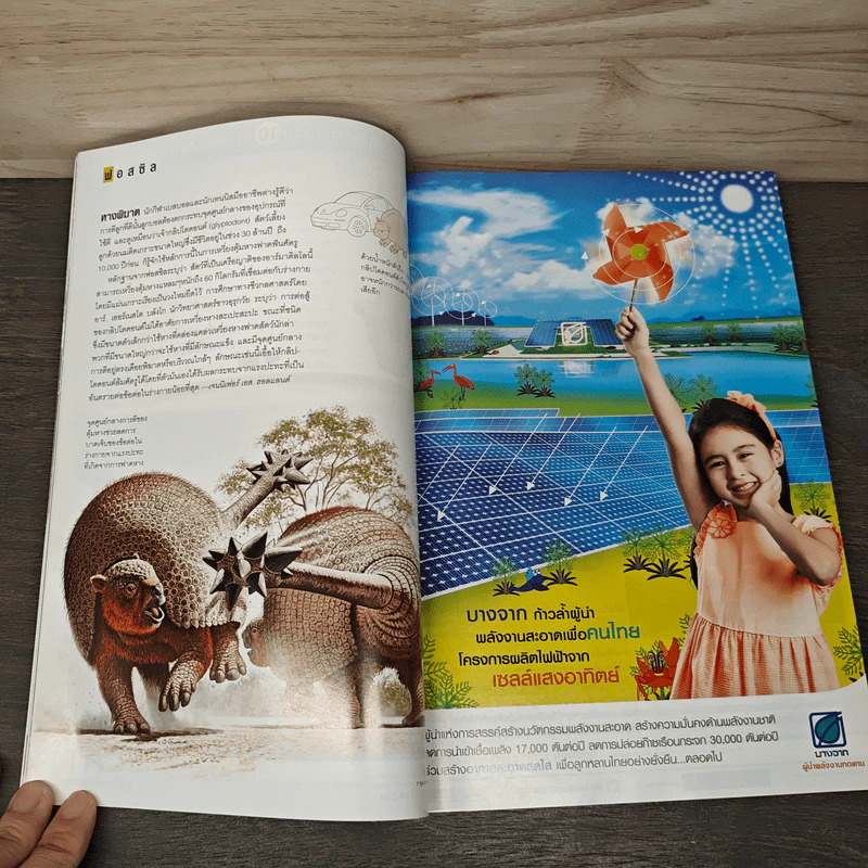 National Geographic ฉบับที่ 109 ส.ค. 2553 บุโรพุทโธ รูปที่ 8