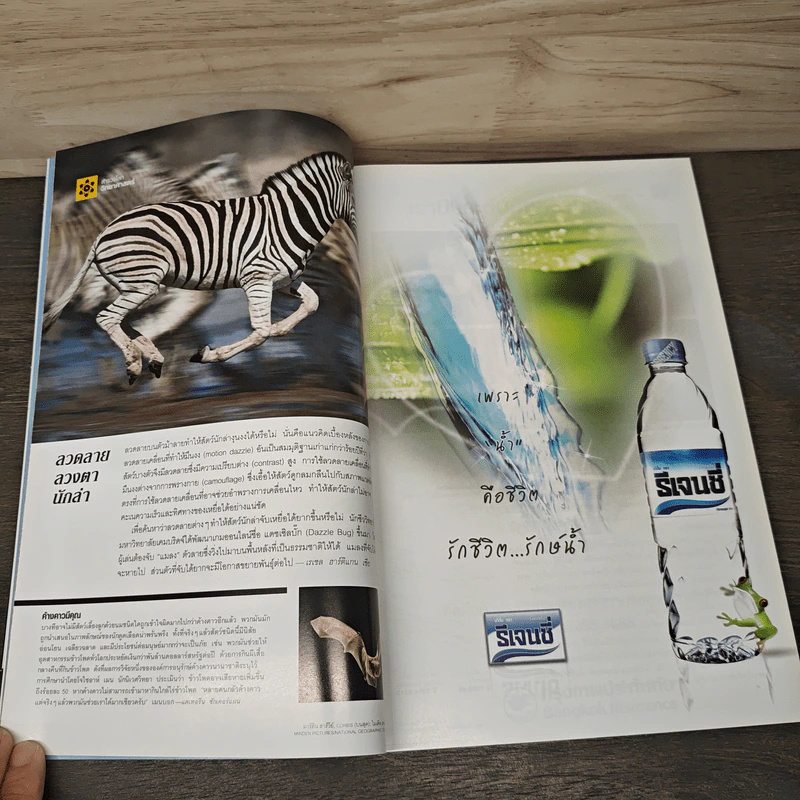 National Geographic ฉบับที่ 180 ก.ค.2559 รูปที่ 9