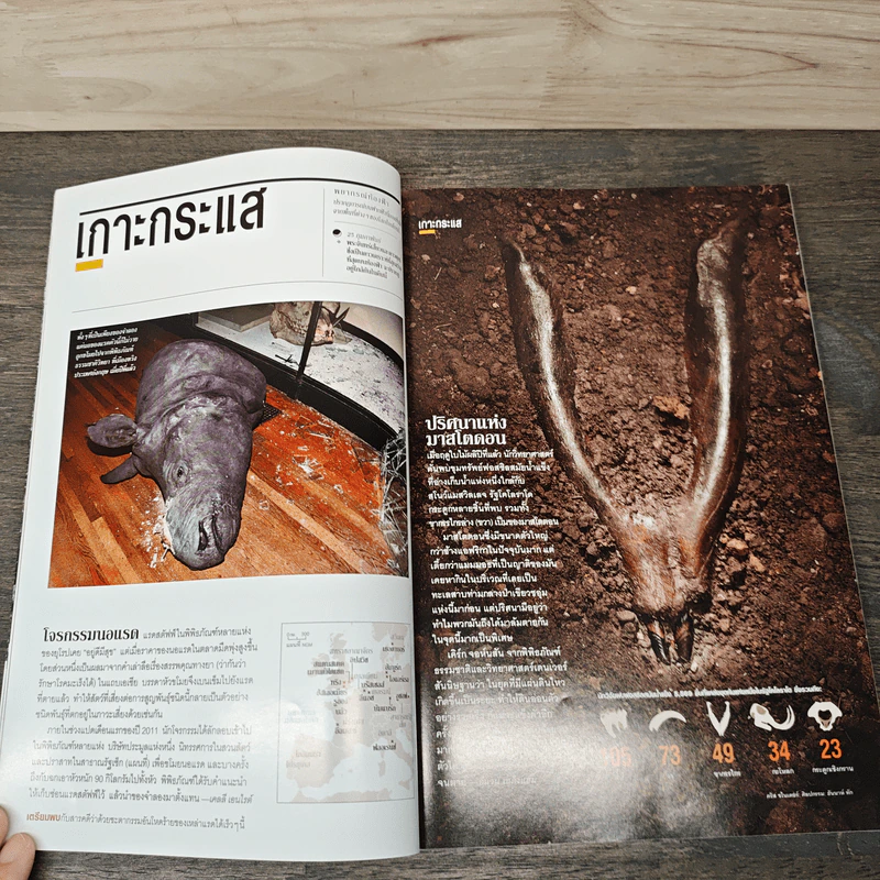 National Geographic ฉบัที่ 127 กุมภาพันธ์ 2555 สึนามิ คลื่นกลืนแผ่นดิน รูปที่ 9