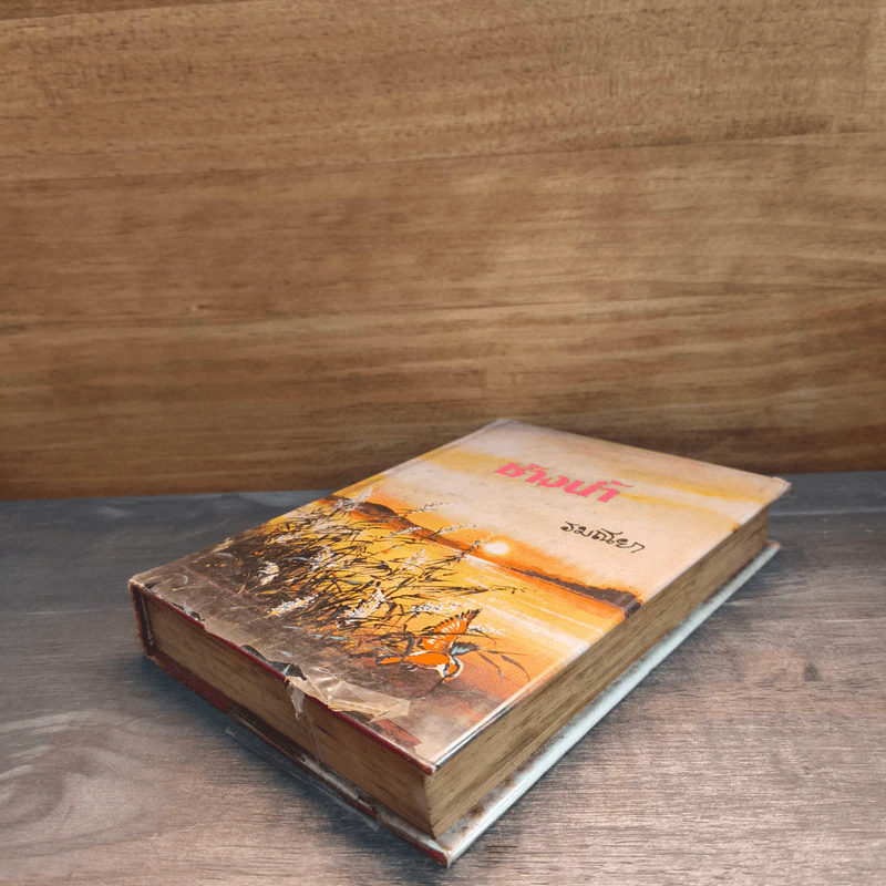 ช้างน้ำ เล่ม 1 - รมณียา รูปที่ 3