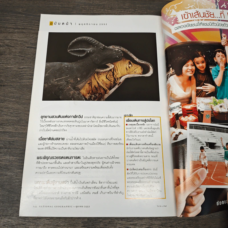 National Geographic ฉบับที่ 99 ต.ค. 2552 เรดวูด รูปที่ 9
