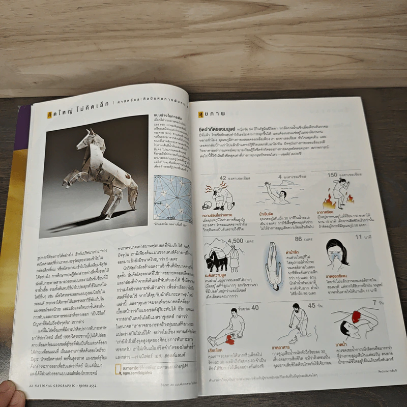 National Geographic ฉบับที่ 99 ต.ค. 2552 เรดวูด รูปที่ 8