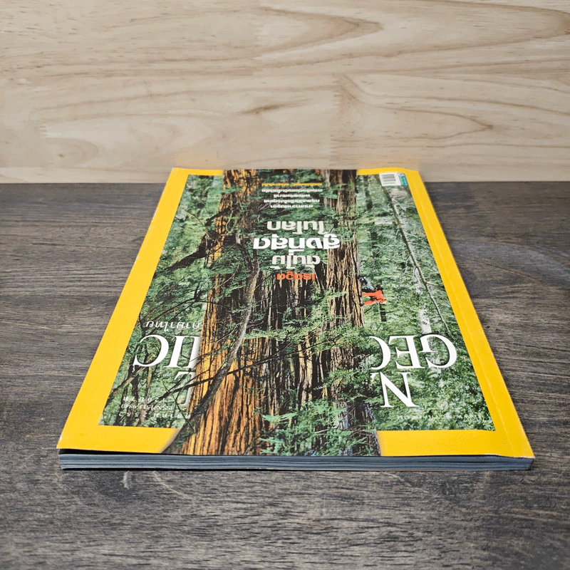 National Geographic ฉบับที่ 99 ต.ค. 2552 เรดวูด รูปที่ 4