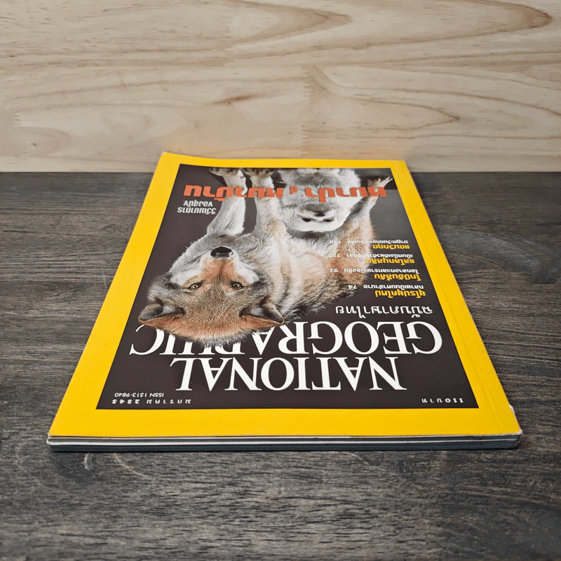National Geographic ม.ค.2545 หมาป่าสู่หมาบ้าน รูปที่ 4