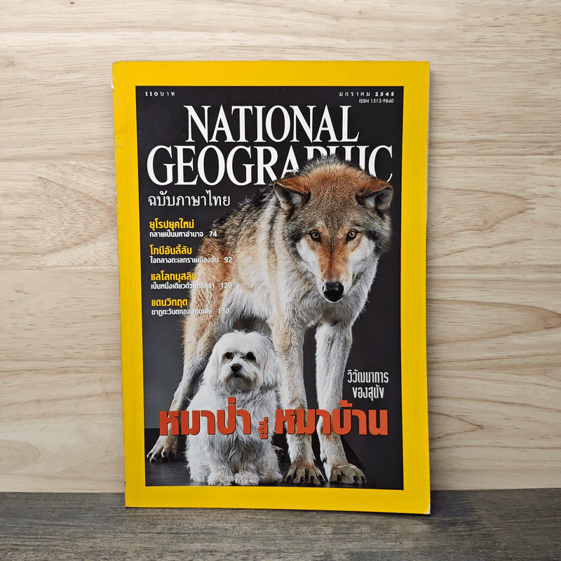 National Geographic ม.ค.2545 หมาป่าสู่หมาบ้าน รูปที่ 1