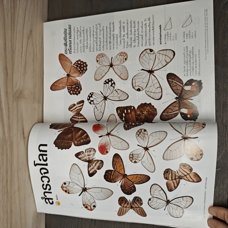 National Geographic ฉบับที่ 174 ม.ค.2559 รูปที่ 9