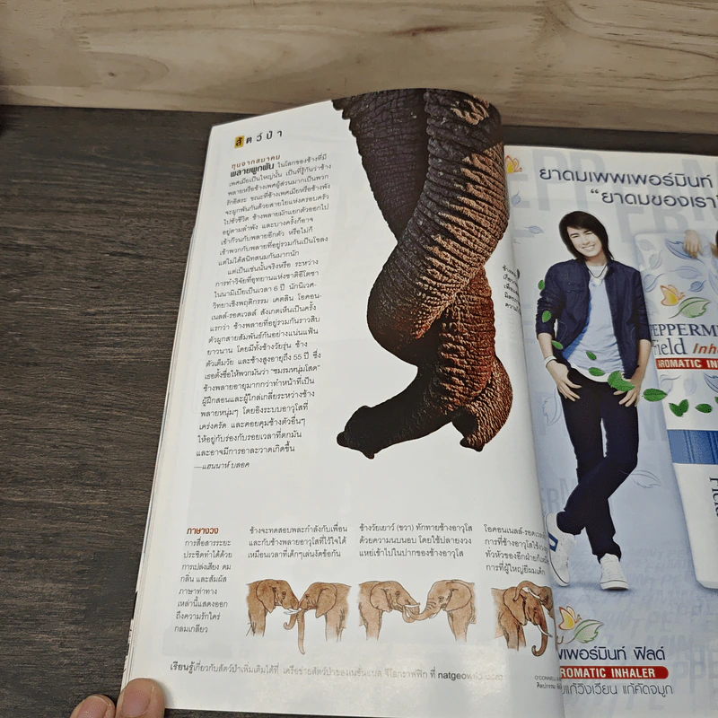 National Geographic ฉบับที่ 107 มิ.ย.2553 พุทธคูหาแห่งตุนหวาง รูปที่ 9
