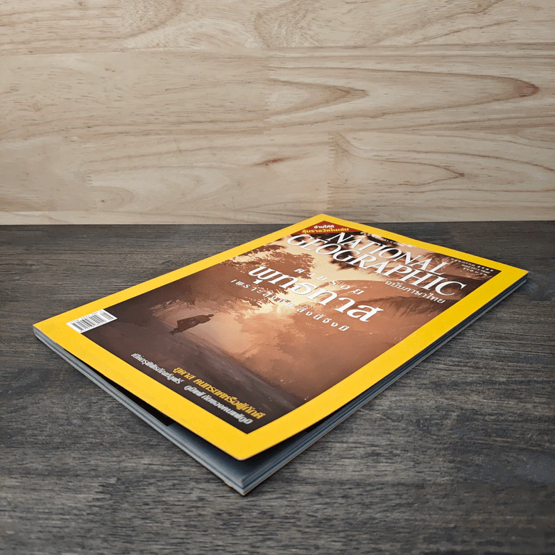 National Geographic พ.ค.2549 ตามรอยพุทธทาส รูปที่ 4