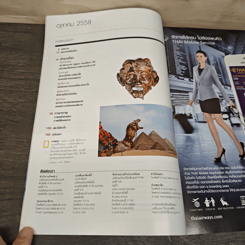 National Geographic ฉบับที่ 171 ตุลาคม 2558 วานรหรือมนุษย์ รูปที่ 7