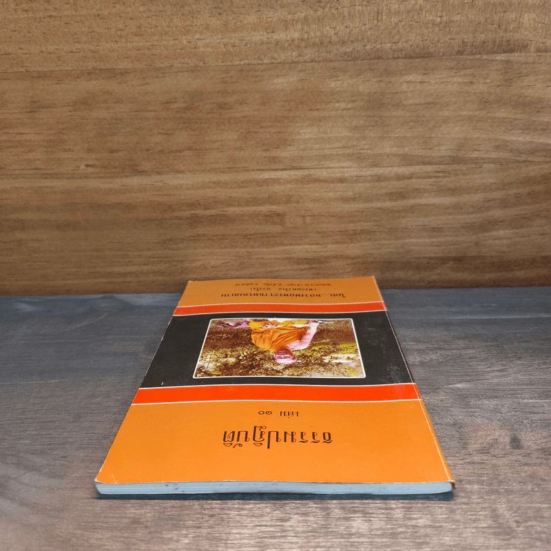 ธรรมปฏิบัติ เล่ม 10 - หลวงพ่อพระราชพรหมยาน รูปที่ 4