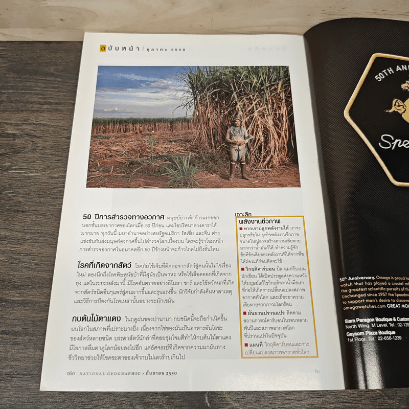 National Geographic ฉบับที่ 74 ก.ย. 2550 ฝาแฝด รูปที่ 10