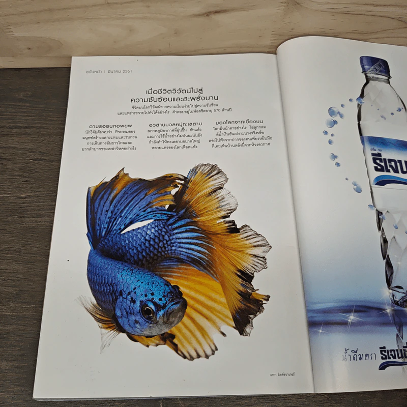 National Geographic ฉบับที่ 199 ก.พ.2561 รูปที่ 9