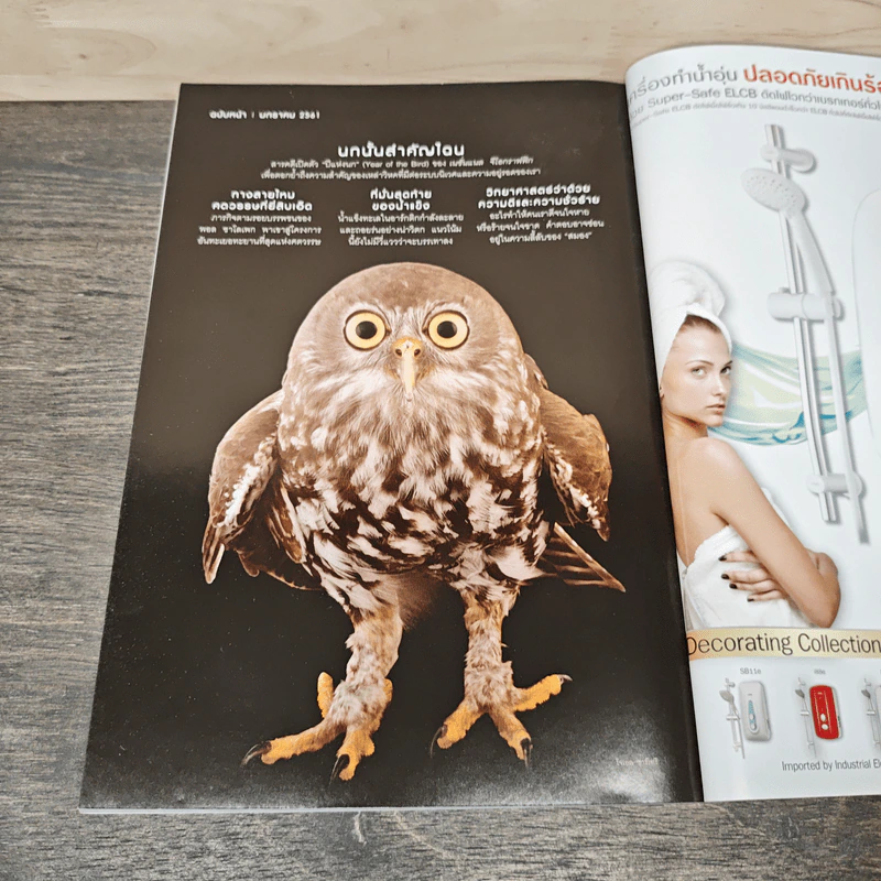 National Geographic ฉบับที่ 197 ธ.ค.2560 รูปที่ 9