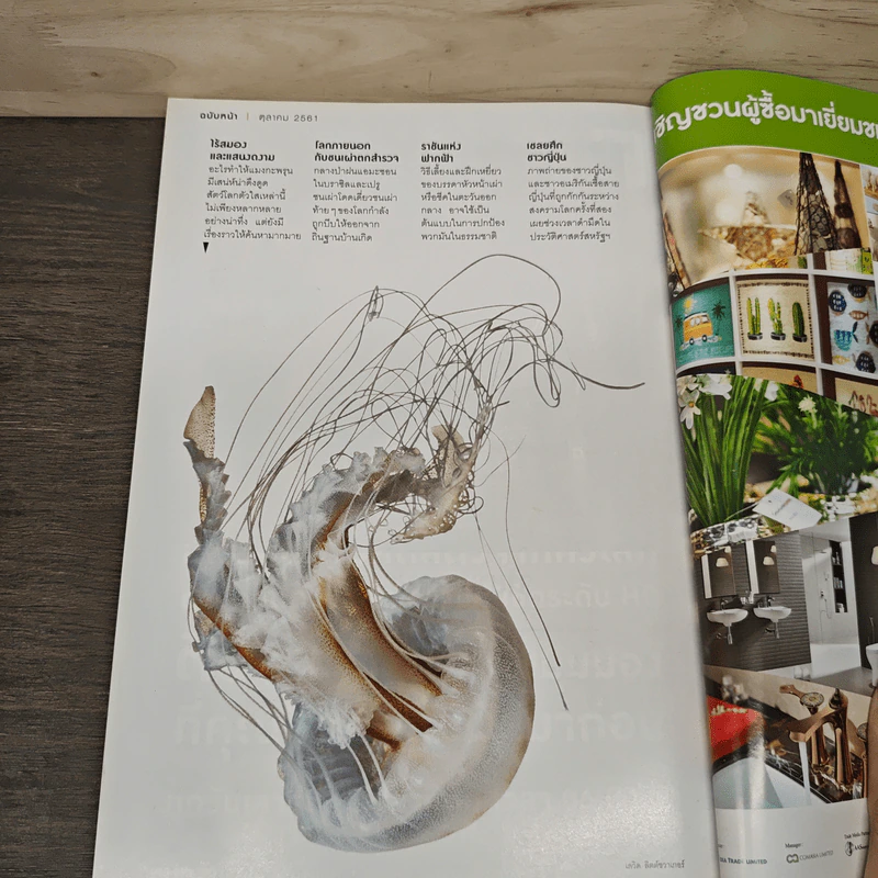 National Geographic ฉบับที่ 206 ก.ย.2551 ภารกิจหมูป่า รูปที่ 11