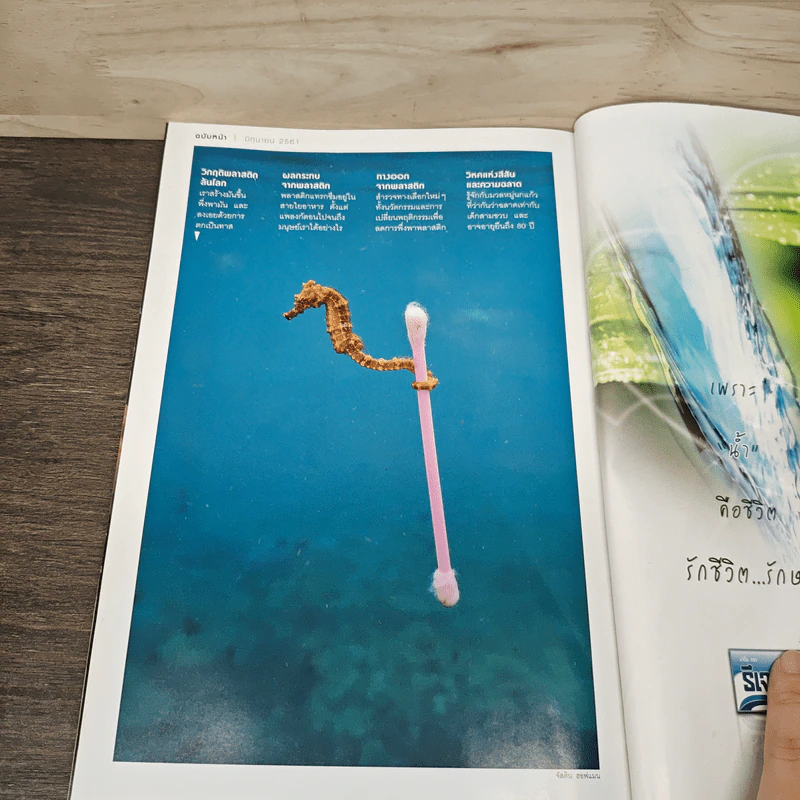 National Geographic ฉบับที่ 202 พ.ค.2561 รูปที่ 9