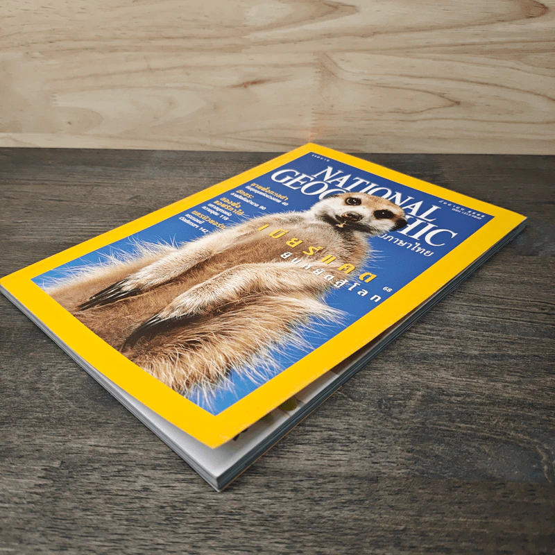 National Geographic ก.ย.2545 เมียร์แคต ยืนหยัดสู้โลก รูปที่ 4