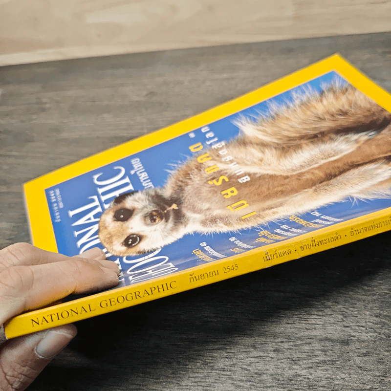 National Geographic ก.ย.2545 เมียร์แคต ยืนหยัดสู้โลก รูปที่ 3