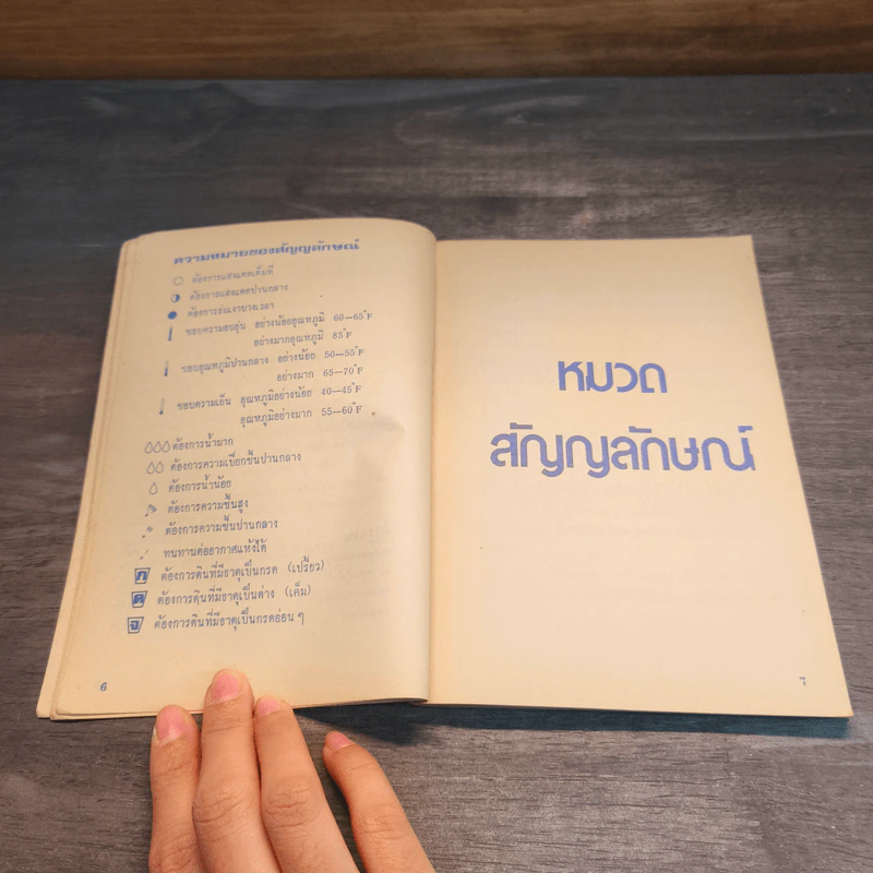 พันธุ์ไม้ในบ้านและการประดับตกแต่ง พร้อมภาพประกอบ รูปที่ 6