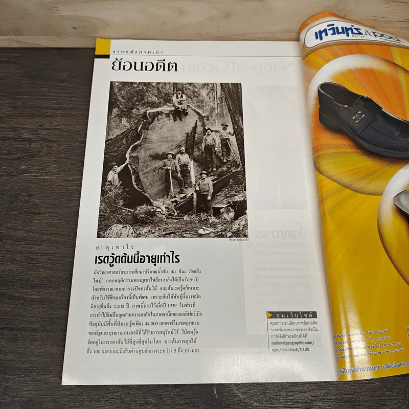 National Geographic ก.ย.2544 ปริศนาอายุของพีระมิดและสรรพสิ่งในจักรวาล รูปที่ 10