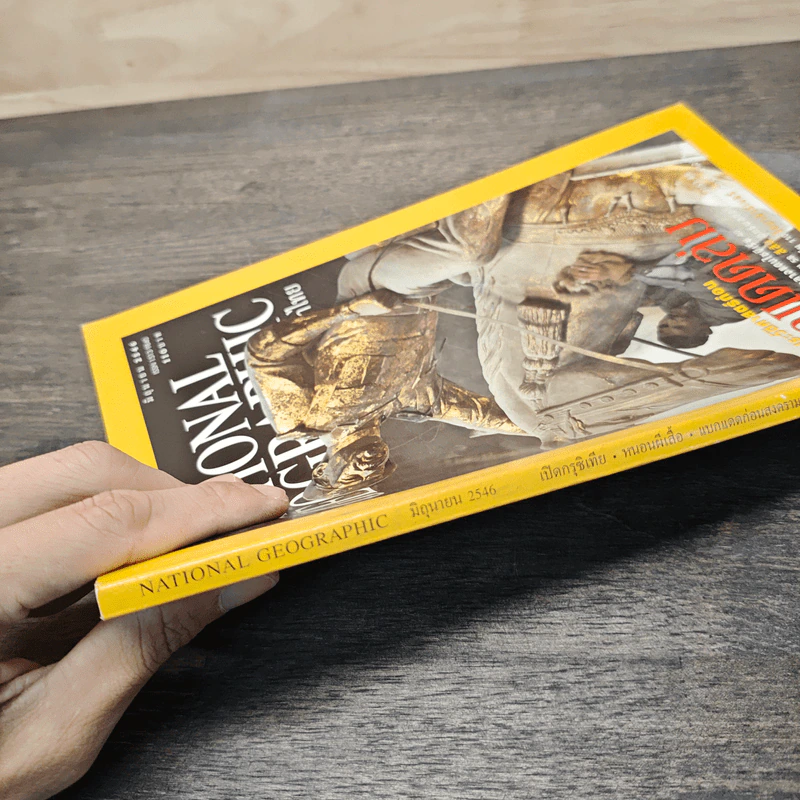National Geographic มิ.ย.2546 ชมภาพประวัติศาสตร์ก่อนแบกแดดล่ม รูปที่ 3