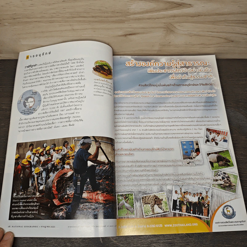 National Geographic ฉบับที่ 84 ก.ค. 2551 รูปที่ 9