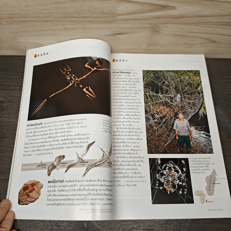 National Geographic ฉบับที่ 117 เม.ย. 2554 ภูเขาไฟนีอีรากองโก รูปที่ 9