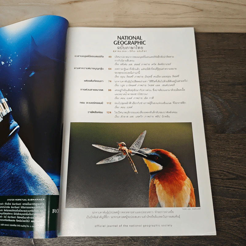 National Geographic ต.ค.2551 อวสานนีแอนเดอร์ทัล รูปที่ 7