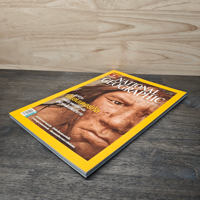 National Geographic ต.ค.2551 อวสานนีแอนเดอร์ทัล รูปที่ 4