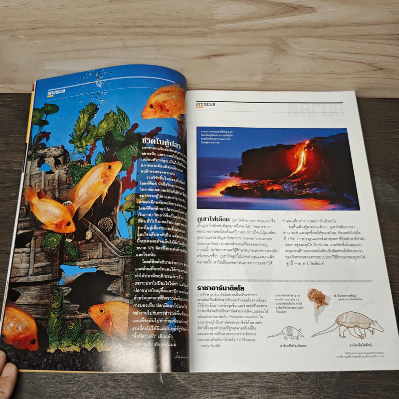 National Geographic ฉบับที่ 131 มิถุนายน 2555 คืนสีสันและชีวิตให้กองทัพนักรบดินเผาแห่งจิ๋นซีฮ่องเต้ รูปที่ 9