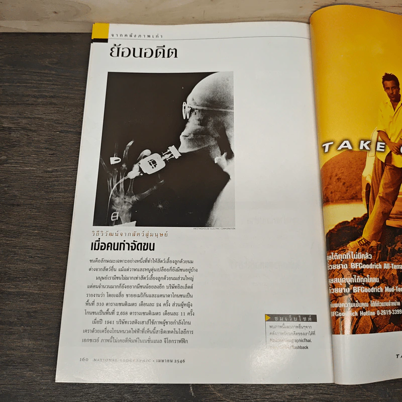 National Geographic เม.ย.2546 ต้นกำเนิดสัตว์เลี้ยงลูกด้วยนม รูปที่ 10