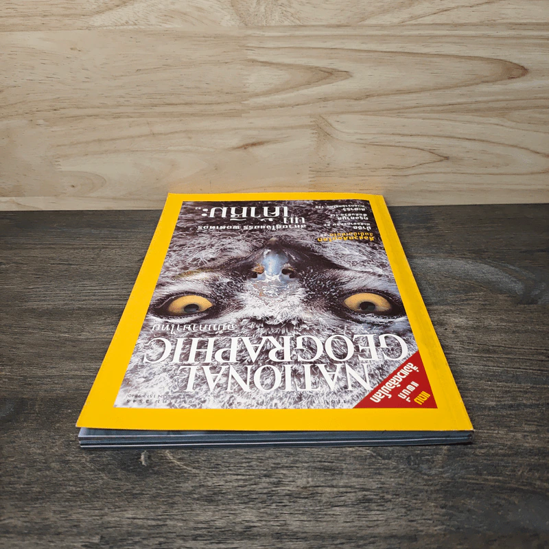 National Geographic ธ.ค.2545 สหายคู่ใจแฮร์รี่ พอตเตอร์ นกเค้าหิมะ รูปที่ 5