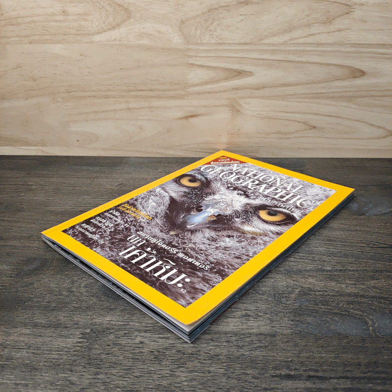 National Geographic ธ.ค.2545 สหายคู่ใจแฮร์รี่ พอตเตอร์ นกเค้าหิมะ รูปที่ 4